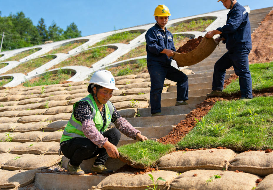 大岭山镇植生袋护坡